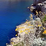 By The Sea Veli Losinj, Losinj - 7959 Apartament Veli Lošinj