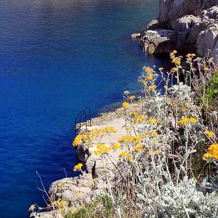By The Sea Veli Losinj, Losinj - 7959 Appartamento Lussingrande